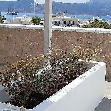 Ippocampos 3* Pollonia